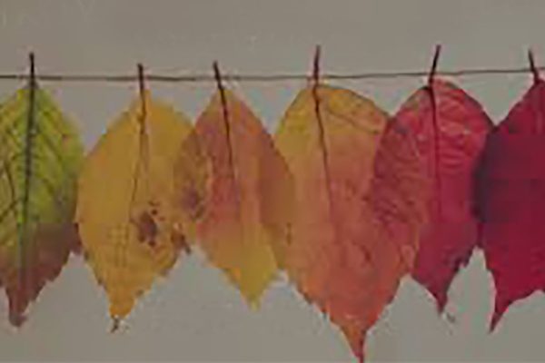 Tile image for Life’s Transitions